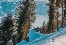 Cómo organizar el viaje perfecto a la nieve Cómo organizar el viaje perfecto a la nieve
