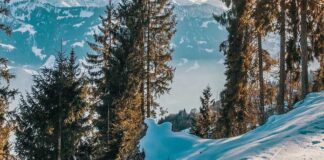 Cómo organizar el viaje perfecto a la nieve